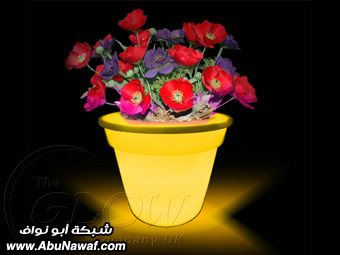 صور للاختراعات الجديدة والطريفة ,,, روعة 340_colour-changing-flower-pot-2