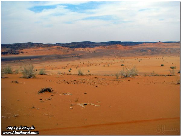 صور: رحله إلى النفود الكبير ( العليم، الأبرق، الطويل، الشقيق، راف، الحصان) Mk10587_al6aweel-2013