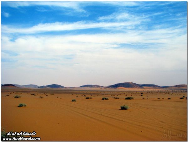 صور: رحله إلى النفود الكبير ( العليم، الأبرق، الطويل، الشقيق، راف، الحصان) Mk10587_al6aweel-206