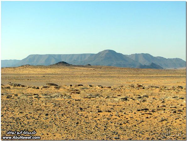 صور: رحله إلى النفود الكبير ( العليم، الأبرق، الطويل، الشقيق، راف، الحصان) Mk10587_raf_36972015