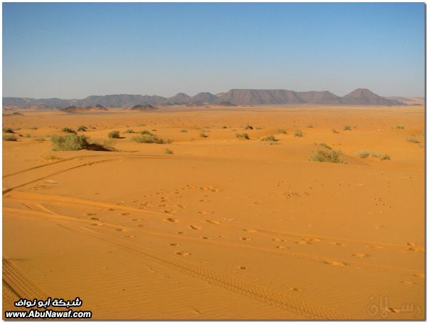 صور: رحله إلى النفود الكبير ( العليم، الأبرق، الطويل، الشقيق، راف، الحصان) Mk10587_raf_36972018