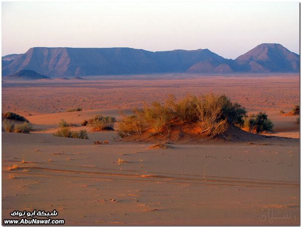 صور: رحله إلى النفود الكبير ( العليم، الأبرق، الطويل، الشقيق، راف، الحصان) Mk10587_raf_36972021