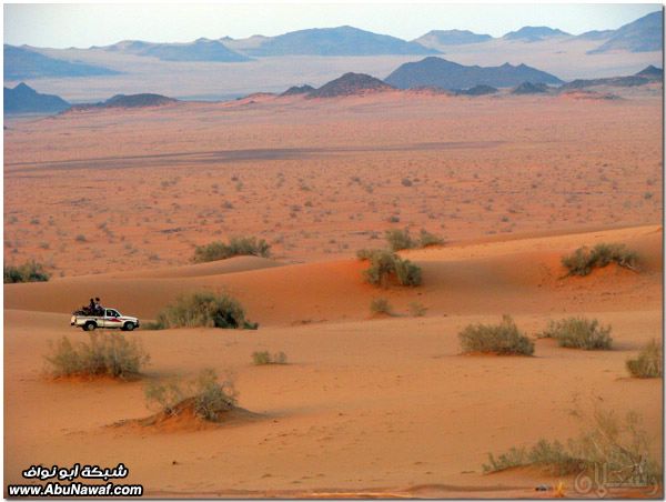 صور: رحله إلى النفود الكبير ( العليم، الأبرق، الطويل، الشقيق، راف، الحصان) Mk10587_raf_36972025