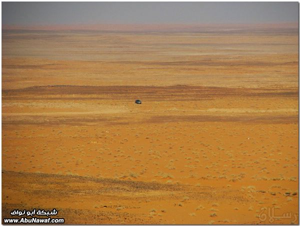 صور: رحله إلى النفود الكبير ( العليم، الأبرق، الطويل، الشقيق، راف، الحصان) Mk10587_raf_3697204