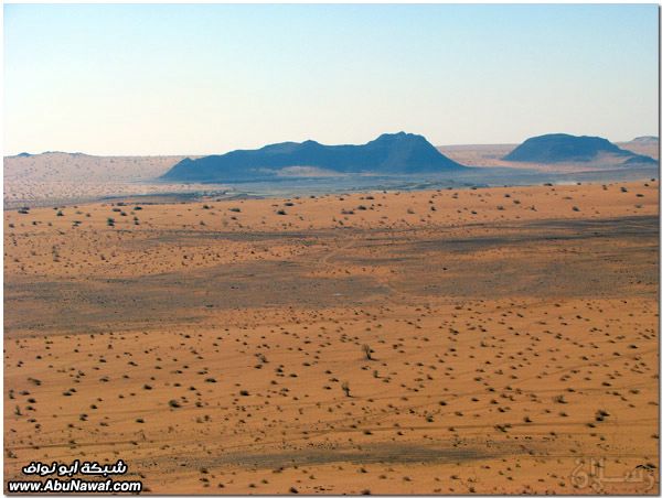 صور: رحله إلى النفود الكبير ( العليم، الأبرق، الطويل، الشقيق، راف، الحصان) Mk10587_raf_3697208