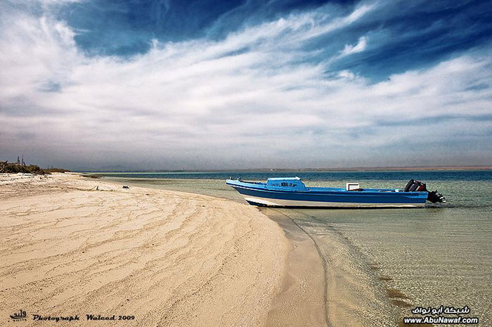 صور عدسة سائح في مدينة الوجه HnDzamgtwmrHvayh