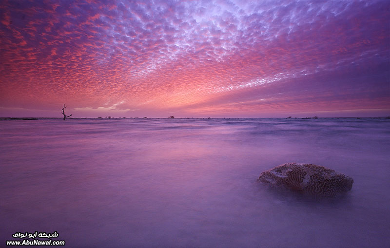 مسابقه الصور الاكتر  Sea5