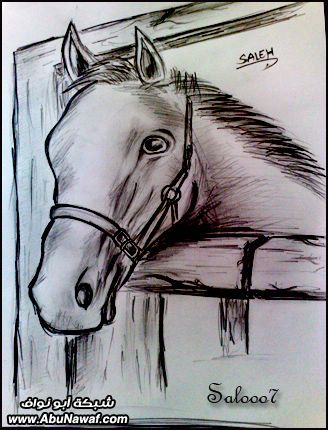 مجموعه رسومات بالرصاص Horse