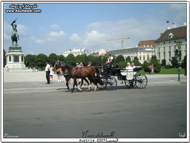 رحلتي الصيفية 2009 الجـ‎‎( النمسا-فيينا1 )‎‎ـزء الثالث Vienna-city-tour7