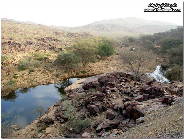 صور: رحلة عبر الكامل وخليص ‎( شمنصير، المرواني، عين ضرعاء وأعمدة البازلت، غار زبيدة)‎ Mk10587img6071