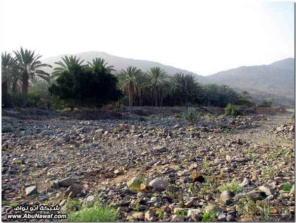 صور: رحلة عبر الكامل وخليص ‎( شمنصير، المرواني، عين ضرعاء وأعمدة البازلت، غار زبيدة)‎ Mk10587img6081