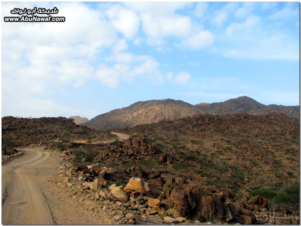 صور: رحلة عبر الكامل وخليص ( شمنصير، المرواني، عين ضرعاء وأعمدة البازلت، غار زبيدة)‎  Mk10587img6086