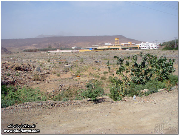 صور: رحلة عبر الكامل وخليص ( شمنصير، المرواني، عين ضرعاء وأعمدة البازلت، غار زبيدة)‎  Mk10587img6112