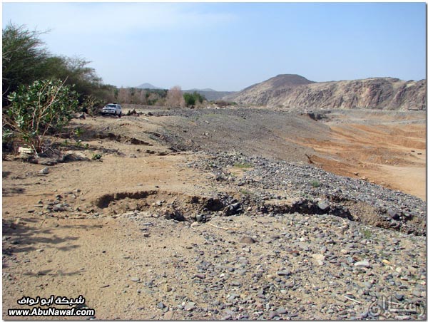 صور: رحلة عبر الكامل وخليص ( شمنصير، المرواني، عين ضرعاء وأعمدة البازلت، غار زبيدة)‎  Mk10587img6126