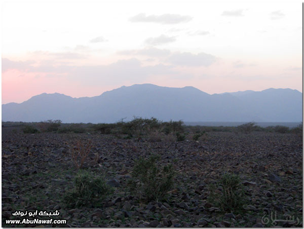 صور: رحلة عبر الكامل وخليص ‎( شمنصير، المرواني، عين ضرعاء وأعمدة البازلت، غار زبيدة)‎ Mk10587img6154