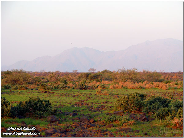 صور: رحلة عبر الكامل وخليص ( شمنصير، المرواني، عين ضرعاء وأعمدة البازلت، غار زبيدة)‎  Mk10587img6184