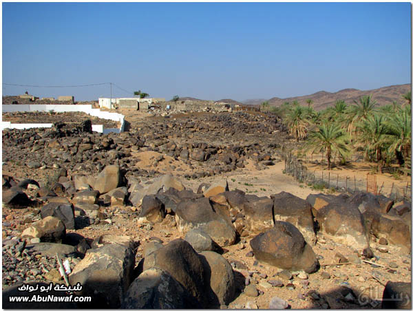 صور: رحلة عبر الكامل وخليص ( شمنصير، المرواني، عين ضرعاء وأعمدة البازلت، غار زبيدة)‎  Mk10587img6221