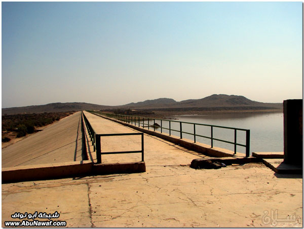 صور: رحلة عبر الكامل وخليص ( شمنصير، المرواني، عين ضرعاء وأعمدة البازلت، غار زبيدة)‎  Mk10587img6236