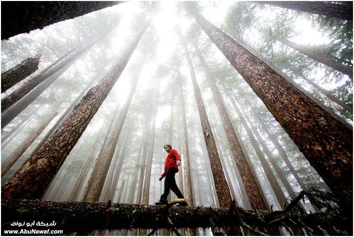 أفضل صوور لـ NATIONAL GEOGRAPHIC 2009-5