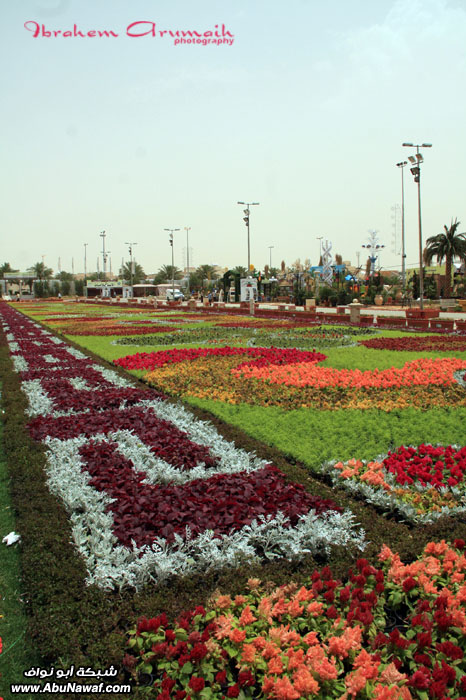 مهرجان الورود في الرياض 23860