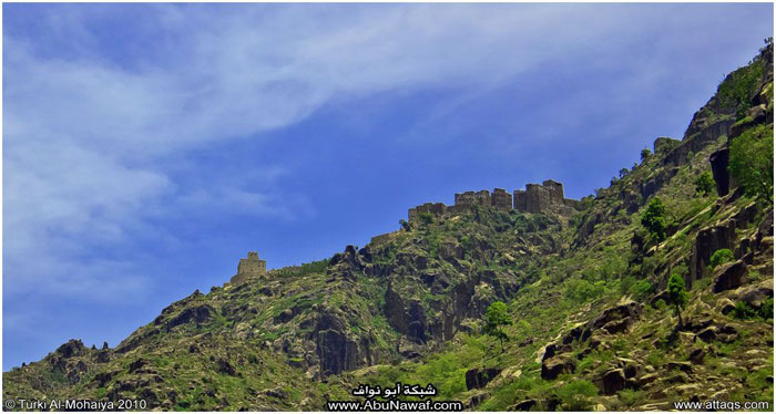 صور : لآخر غابة إستوائية في اليمن - محمية بُرَعْ الطبيعية Img6701d