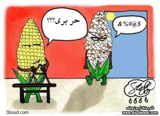 كاريكاتورات من كل حدب و صوب 03-corn