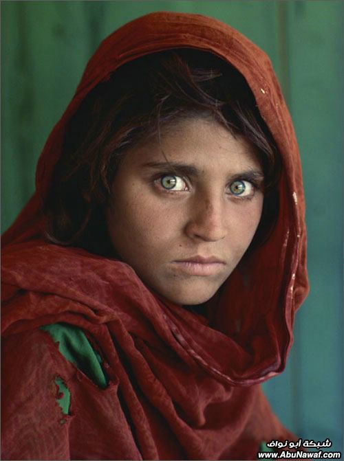قصة فتاة افغانيه 639_thumb