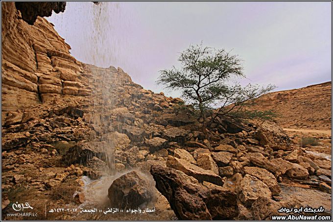 صور أمطار وأجواء الزلفي الجمعة 17-2-1432هـ 12