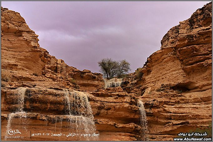 صور أمطار وأجواء الزلفي الجمعة 17-2-1432هـ 16