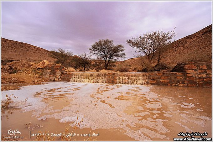 صور أمطار وأجواء الزلفي الجمعة 17-2-1432هـ 17