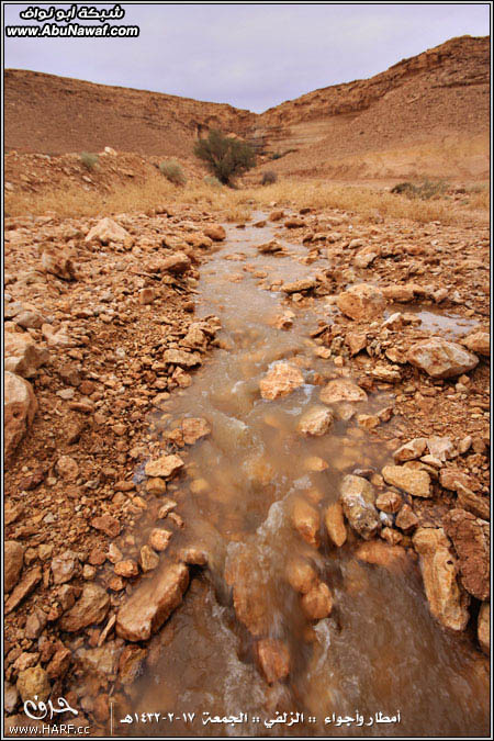 صور أمطار وأجواء الزلفي الجمعة 17-2-1432هـ 18