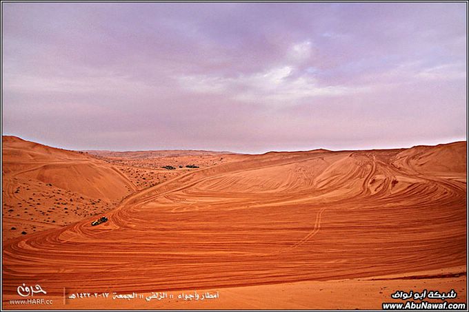 صور أمطار وأجواء الزلفي الجمعة 17-2-1432هـ 4