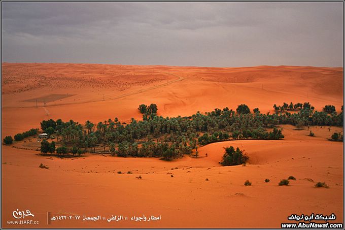 صور أمطار وأجواء الزلفي الجمعة 17-2-1432هـ 6