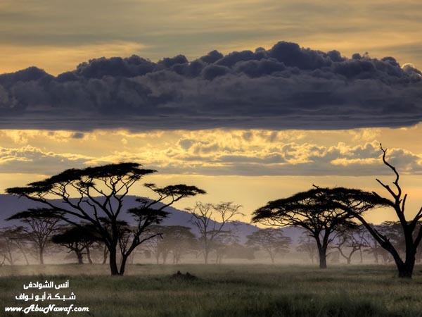 صور : شهر ديسمبر بعدسة ناشيونال جيوغرافيك EwjhnrtmumafCJzy