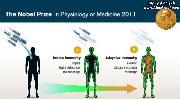 الحائزون على جائزة نوبل 2011 تقرير مصور Nobel-prize-thumb-610x335-50731