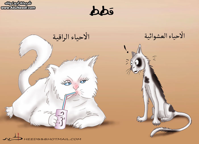 كاريكاتير : سلاطين العرب مع الفيس بوك‏ 15