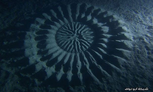 إكتشاف تصميمات رملية غامضة في أعماق المحيط. Mystery-underwater-crop-circle-japan-4
