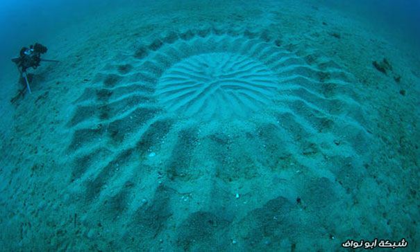 إكتشاف تصميمات رملية غامضة في أعماق المحيط. Mystery-underwater-crop-circle-japan-5