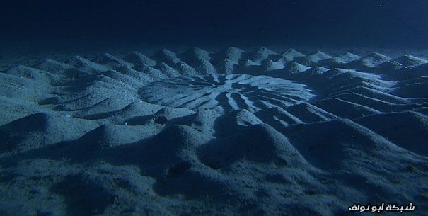 إكتشاف تصميمات رملية غامضة في أعماق المحيط. Mystery-underwater-crop-circle-japan-6