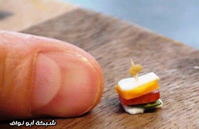 اغرب عشرة ساندويتشات في العالم 3.-Worlds-Smallest-Sandwich-e1351780674576