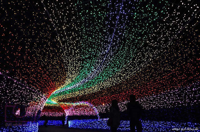 نفق الأضواء السحرية Winter-light-festival-nabano-no-sato-japan-3