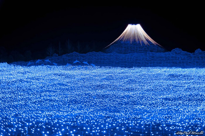 نفق الأضواء السحرية Winter-light-festival-nabano-no-sato-japan-4