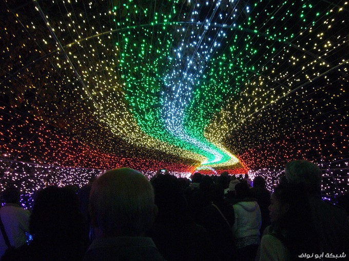 نفق الأضواء السحرية Winter-light-festival-nabano-no-sato-japan-5