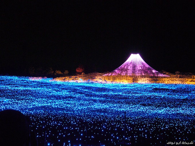 صور- نفق الأضواء السحرية . Winter-light-festival-nabano-no-sato-japan-6