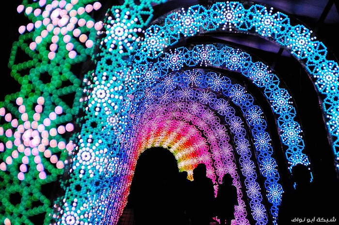 نفق الأضواء السحرية Winter-light-festival-nabano-no-sato-japan-9