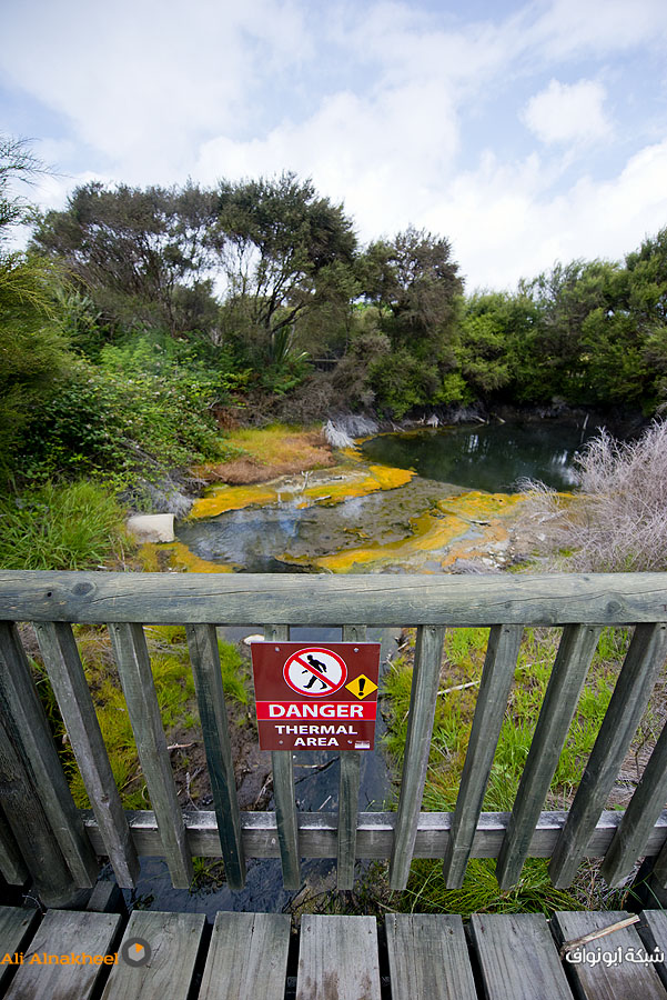 تقرير سياحي: لنيوزلندا..  4Rotorua-15