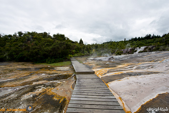 تقرير سياحي: لنيوزلندا..  4Rotorua-31