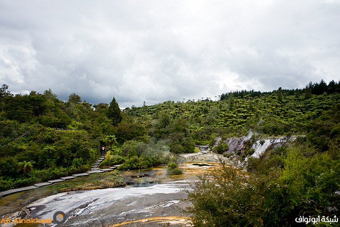 تقرير سياحي: لنيوزلندا..  4Rotorua-41