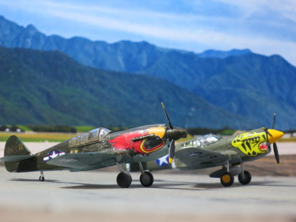 [F-TOYS] 1/144 - Curtiss P-40E/P-40N Warhawk F_9089678_1