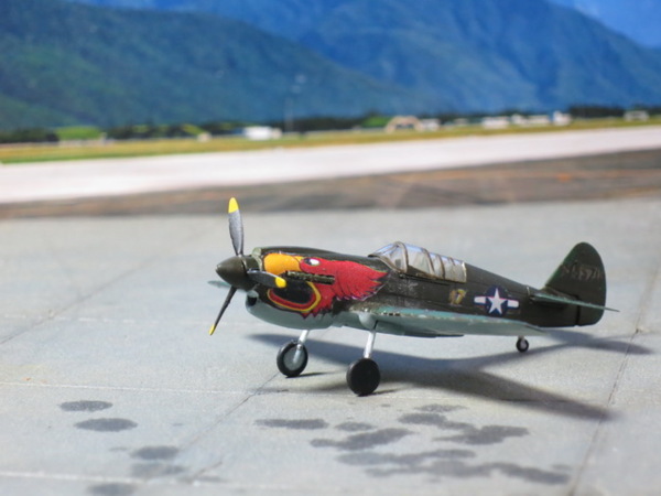 [F-TOYS] 1/144 - Curtiss P-40E/P-40N Warhawk F_9089680_1